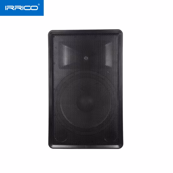 Altoparlante portatile audio da 15 pollici con microfono e connettore di linea Funzione Pezzi di ricambio Accessori Assemblare